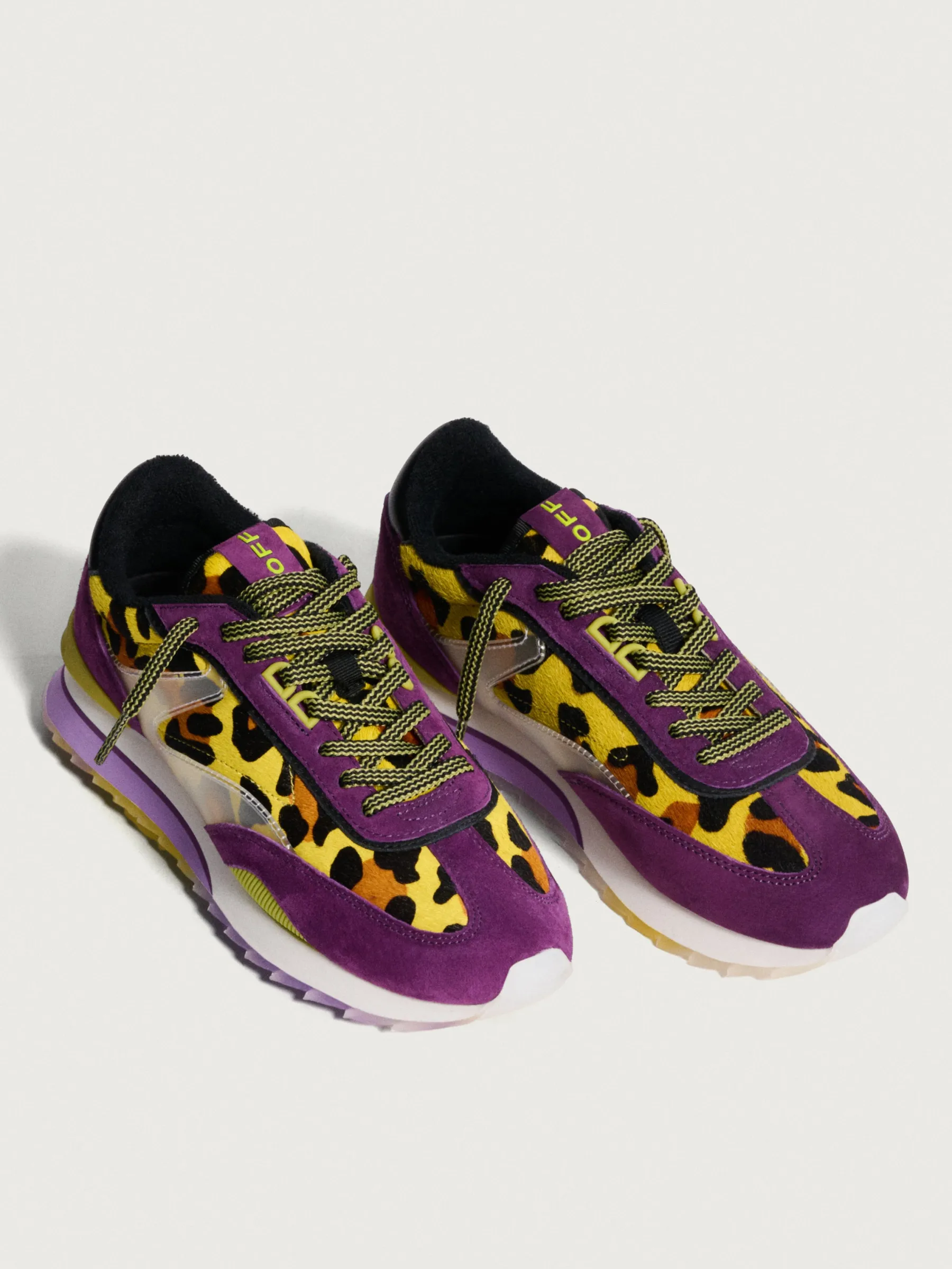 PURPLE LADY^HOFF New